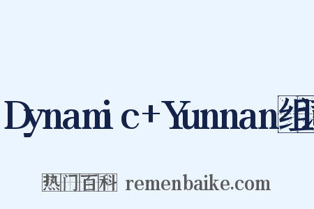 Dynamic+Yunnan组词是什么意思的图片